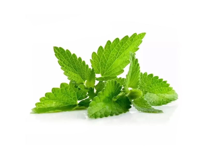 薄荷油