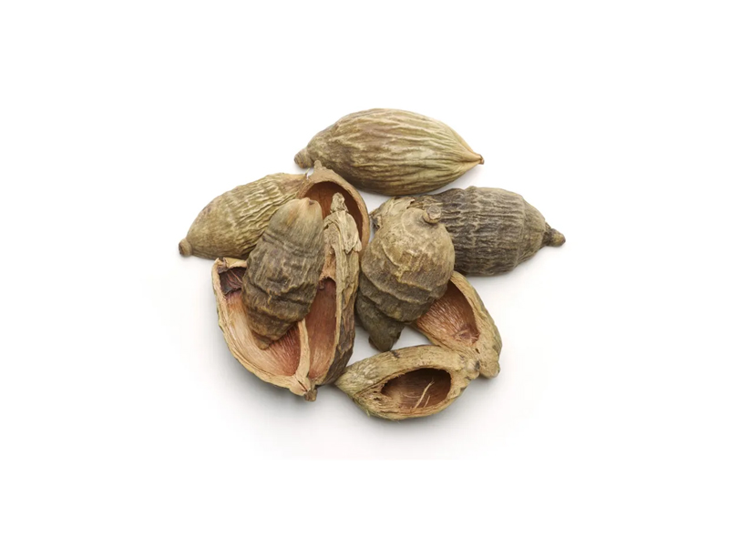 大腹皮提取物